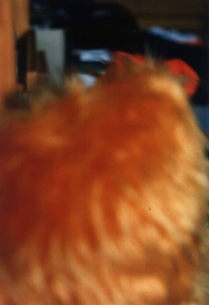 cliquer ici pour retourner