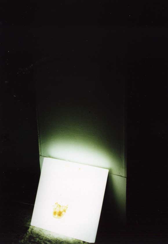 cliquer ici pour retourner