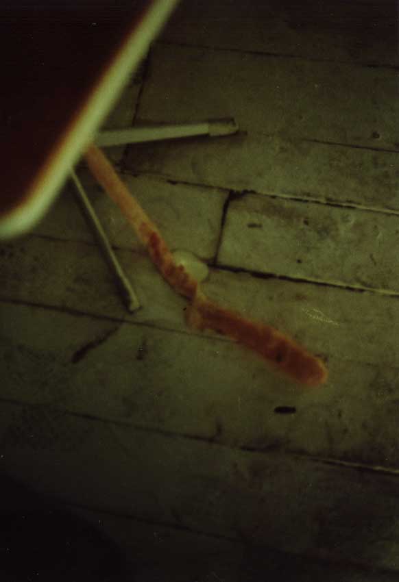 cliquer ici pour retourner