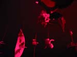 100-0050_IMG