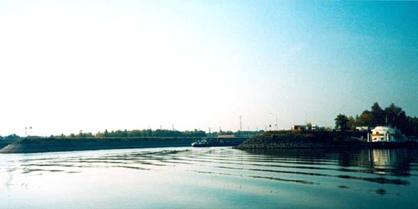 09
