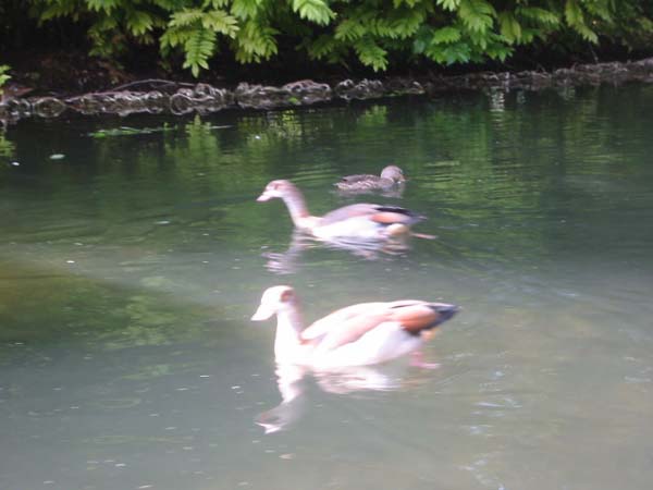 101-0104_IMG