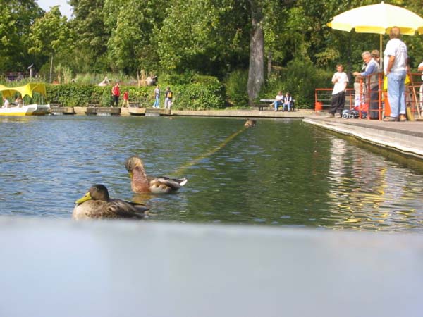 101-0135_IMG