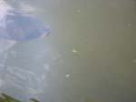 100-0086_IMG