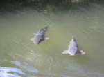 100-0093_IMG