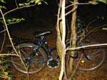100-0077_IMG