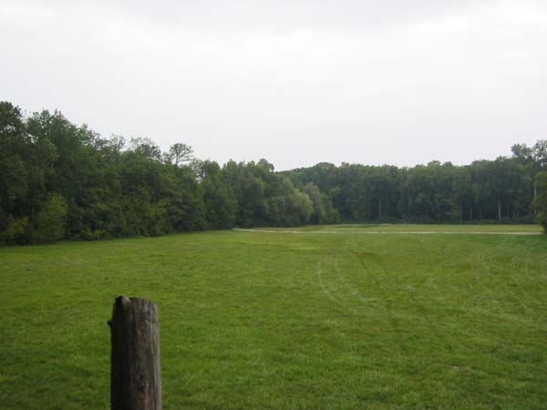 101-0119_IMG