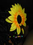 101-0164_IMG