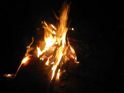 100-0048_IMG