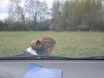 100-0096_IMG