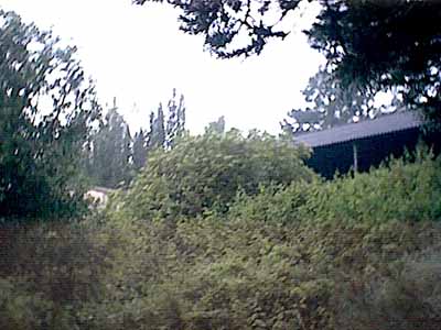 Image03