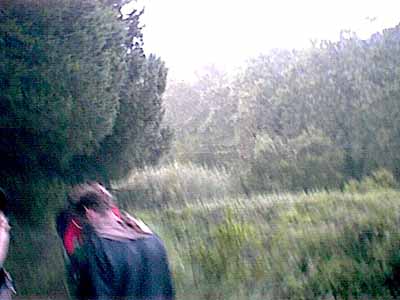 Image05
