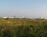 photo04