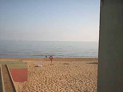 Image36